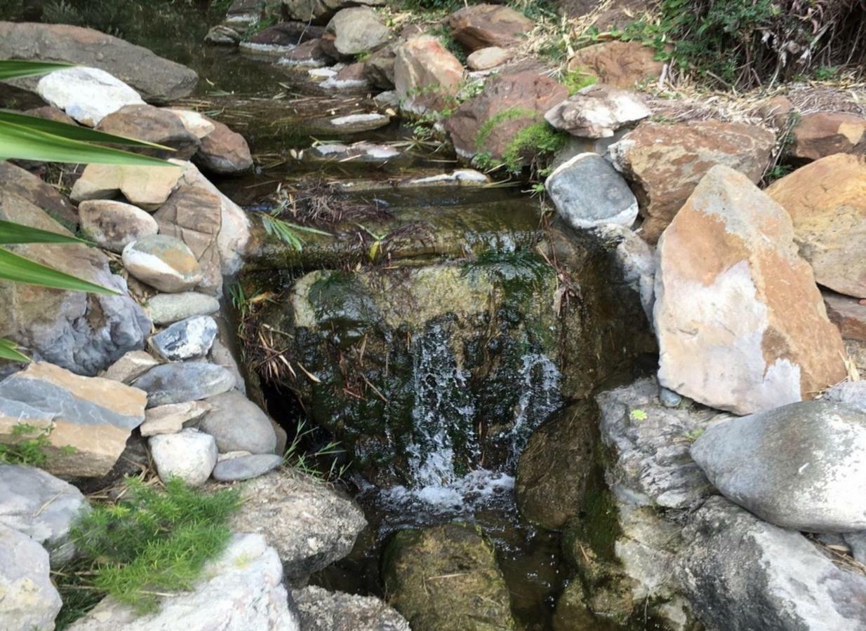 Jardines De Las Golondrinas Marbella Eksteriør bilde